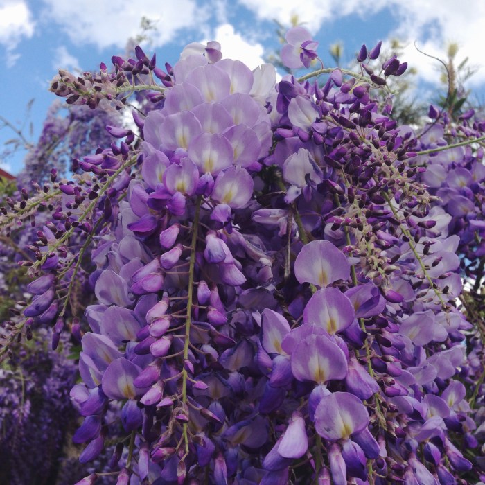 Processed with VSCOcam with f2 preset