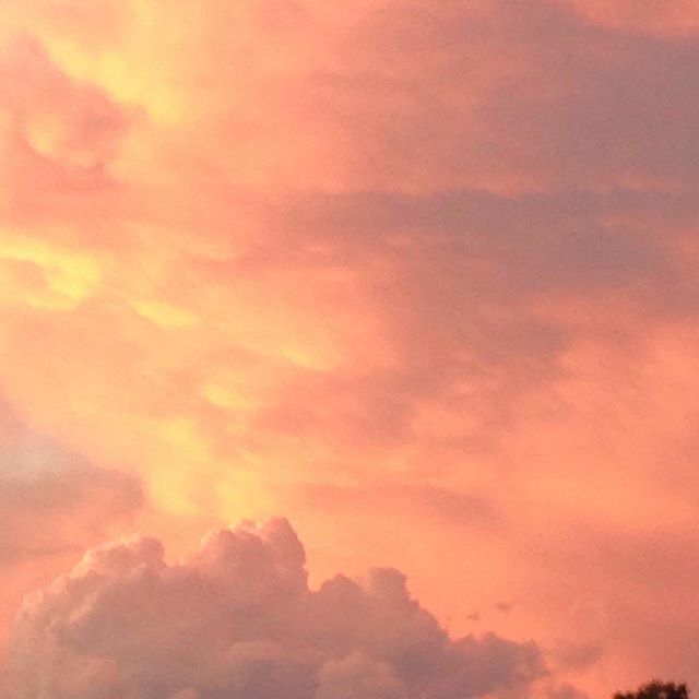 12132897_794422147335748_1334581074_n