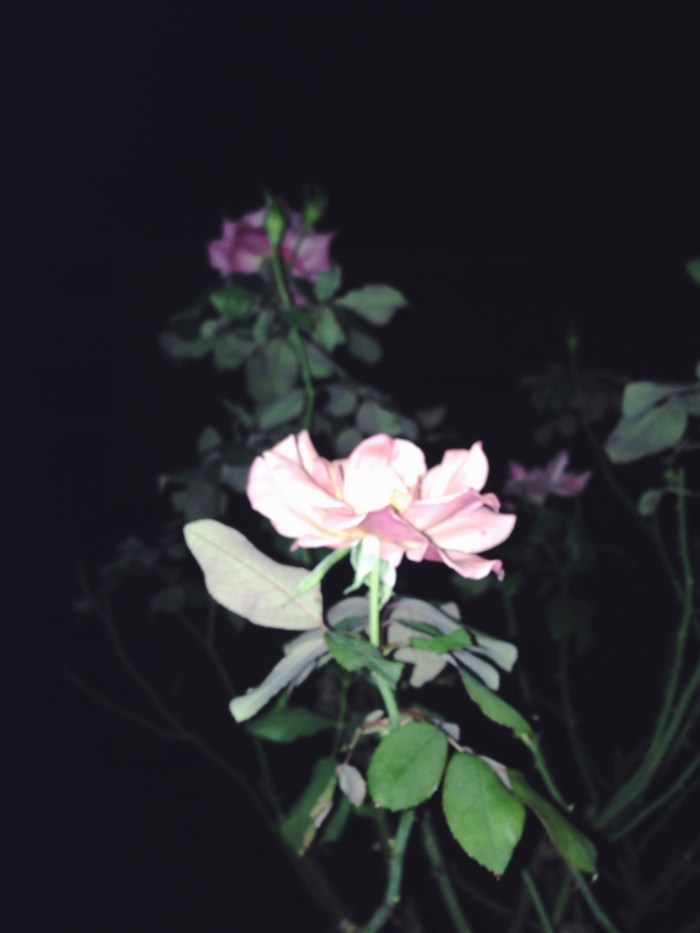 Processed with VSCOcam with f2 preset