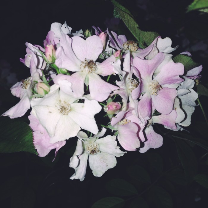 Processed with VSCOcam with f2 preset