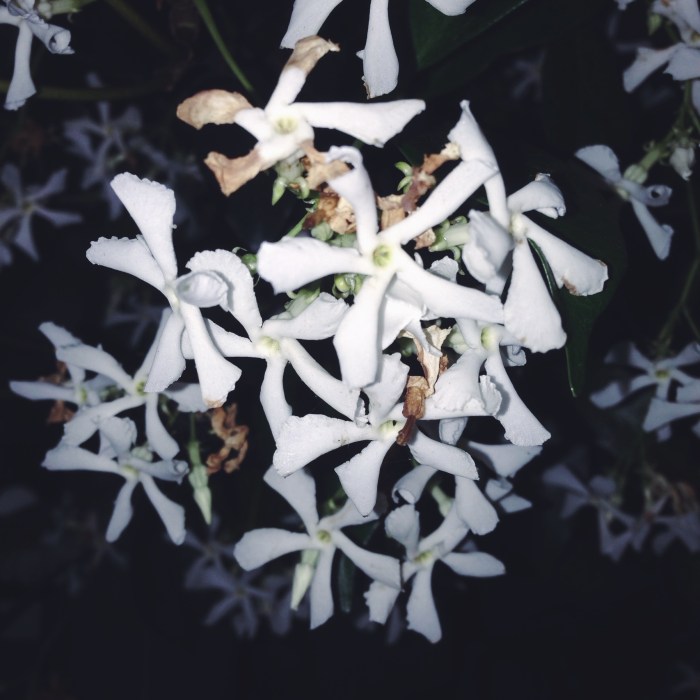 Processed with VSCOcam with f2 preset