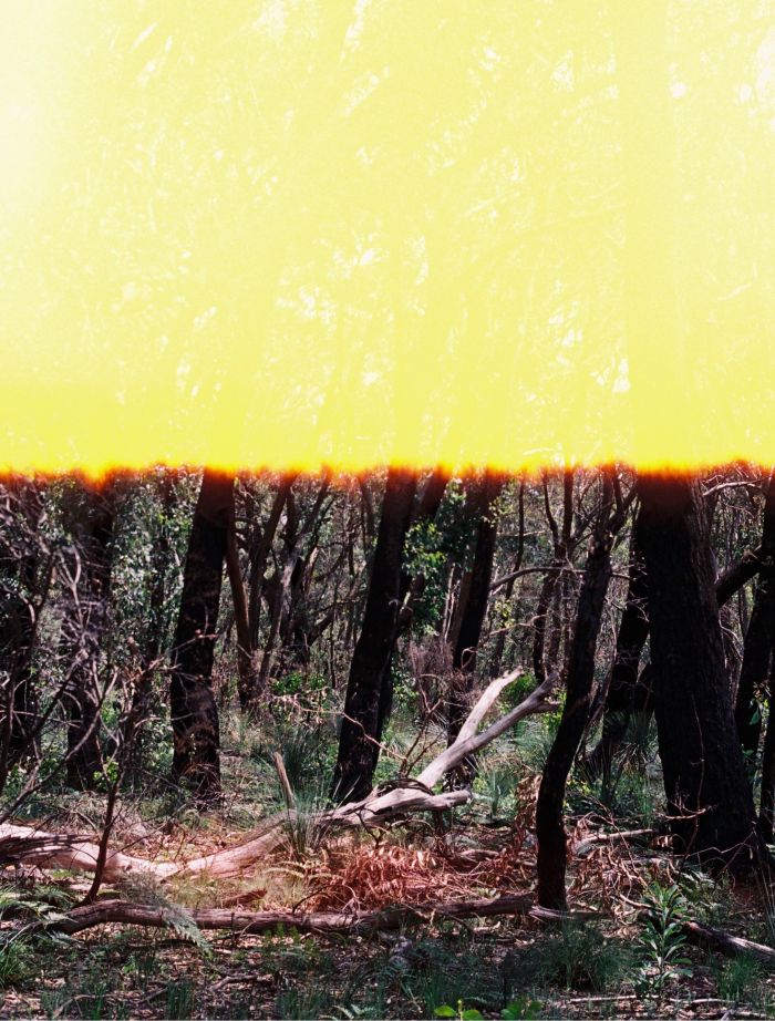 F022328-R1-00-0A_Fotor