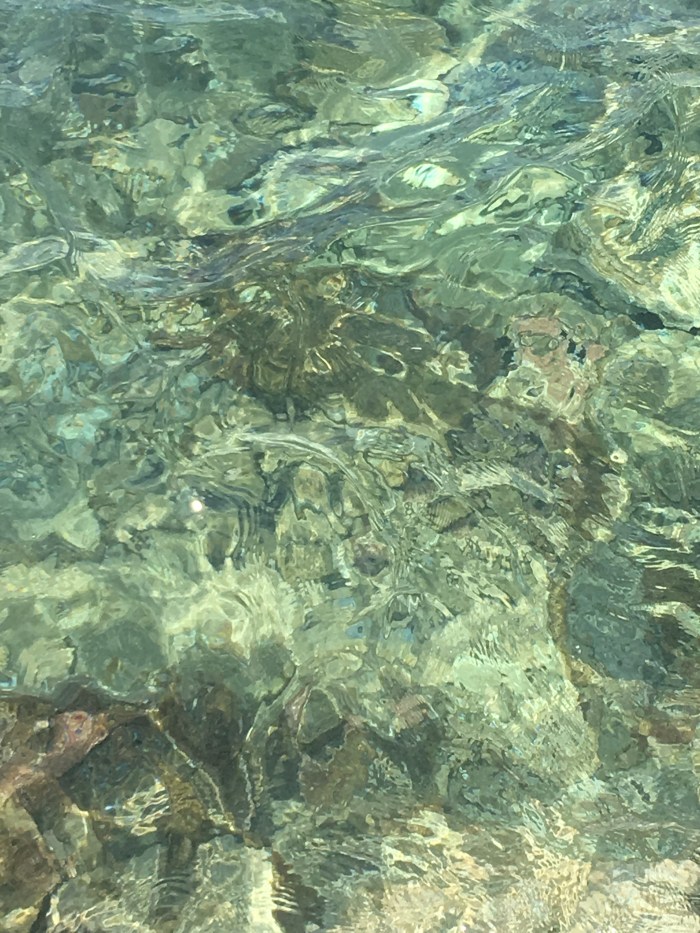 232A67DE-0277-4AD1-B521-DECF3B8C03D2